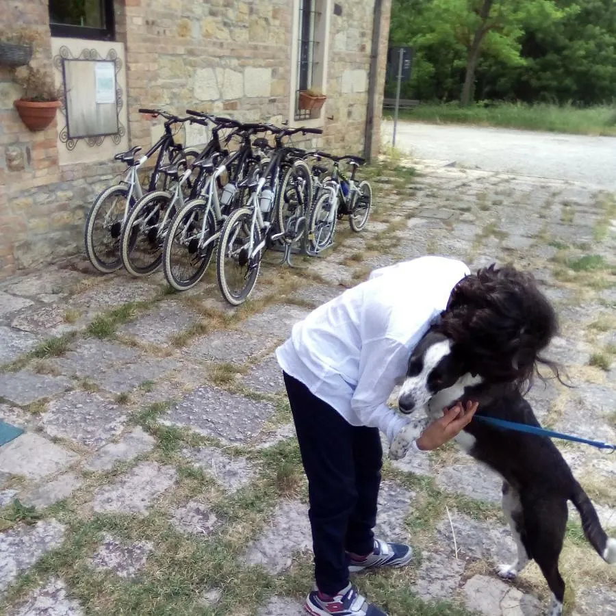 Hostal Ostello Il Gruccione Vigoleno Italia